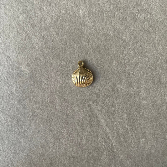 Coastal Shell