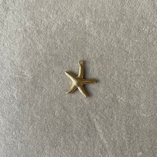 Starfish Charm
