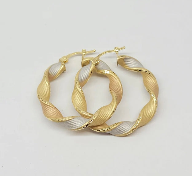 18k Tri-Tone Earrings